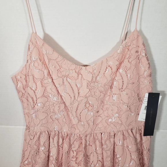 Cynthia Steffe Dress 12 Lace Rose Pink Sleeveless Party Cocktail Fit Flare NWT - Picture 2 of 9